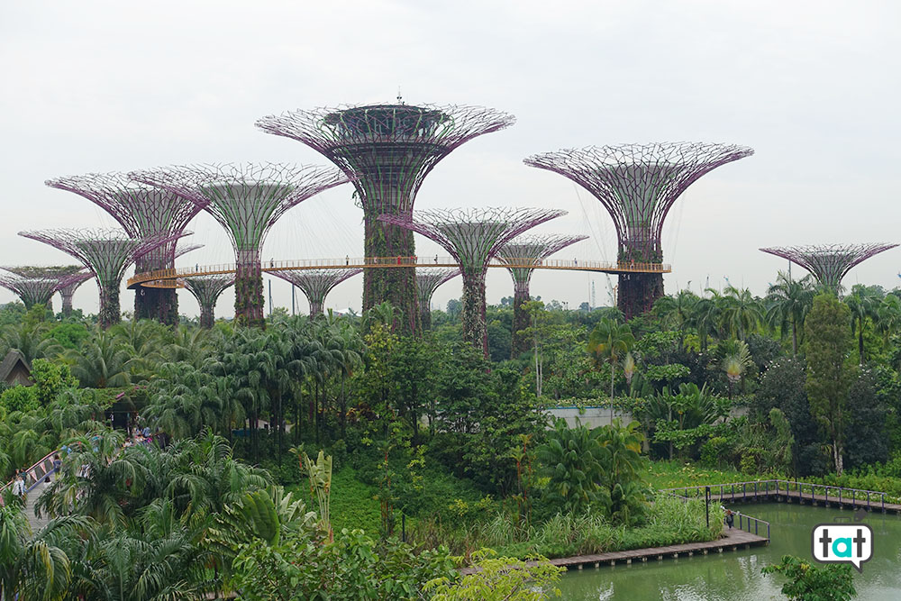 talk about travel singapore gardens by the bay