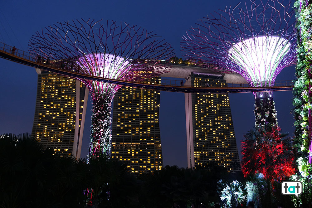 talk about travel singapore gardens by the bay