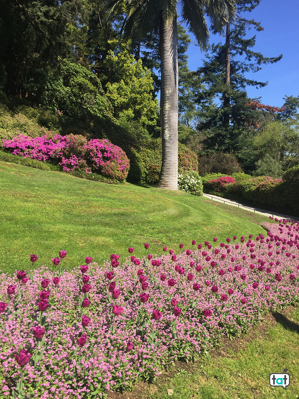 villa carlotta giardini botanici fiori