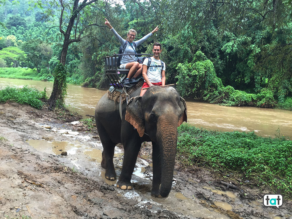 travel thailandia mae taeng elephant park