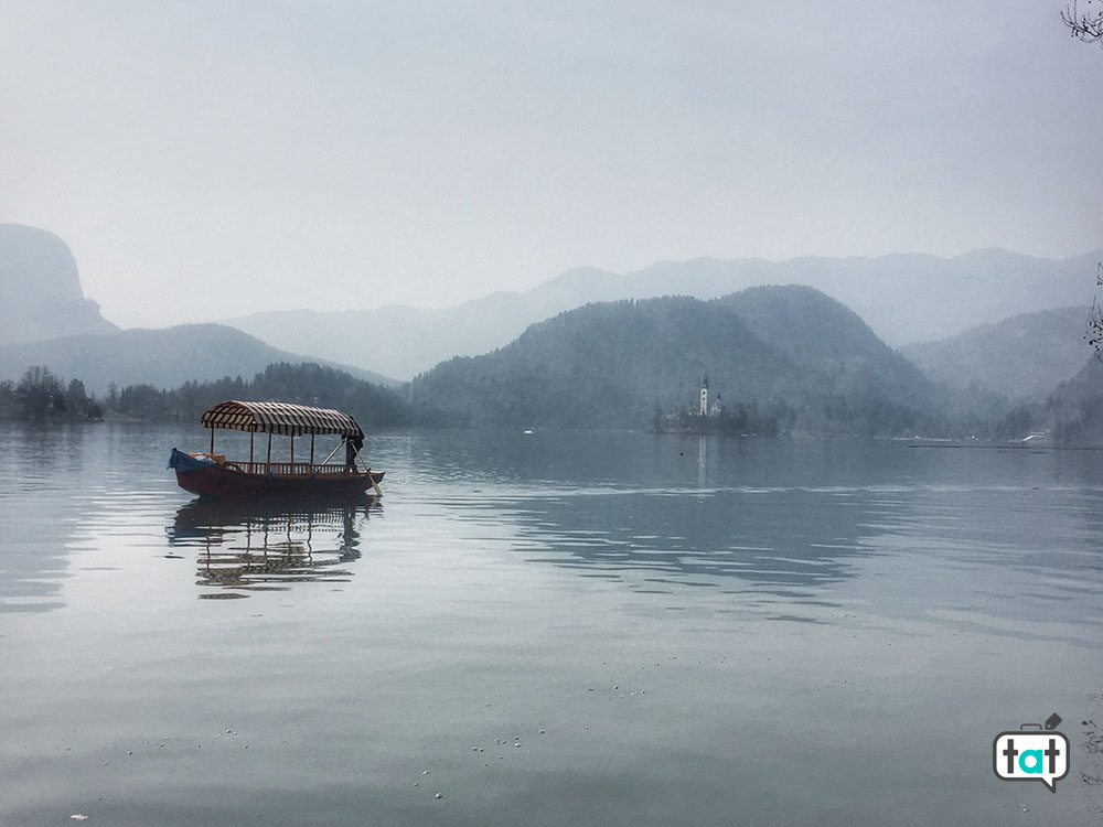 bled