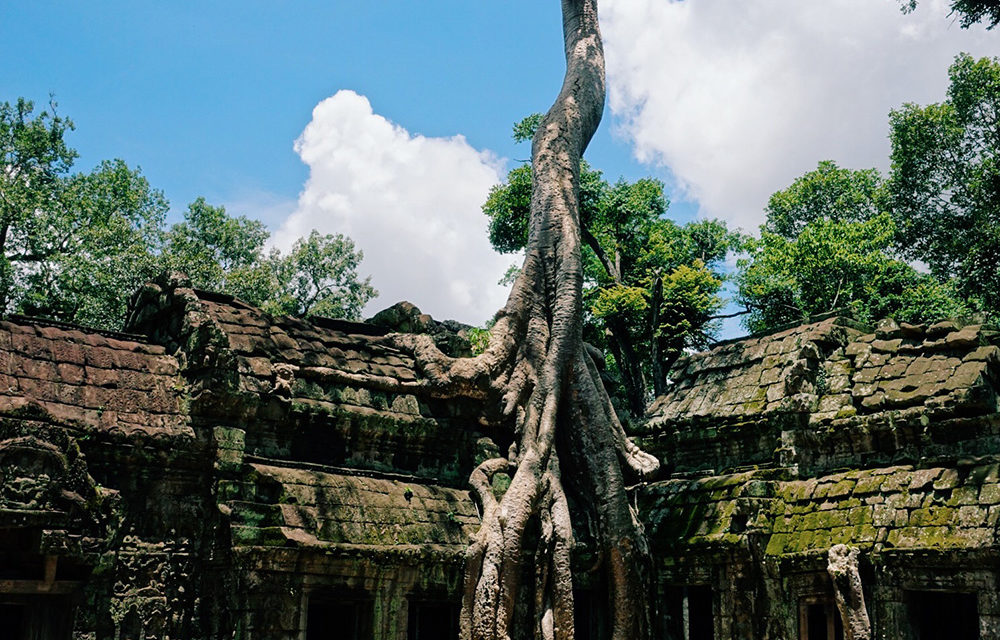 CAMBOGIA: I TEMPLI DI ANGKOR, SIEM REAP E IL LAGO TONLE SAP