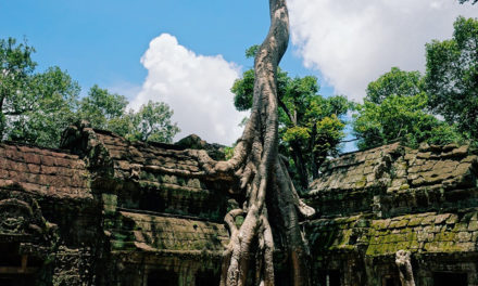 CAMBOGIA: I TEMPLI DI ANGKOR, SIEM REAP E IL LAGO TONLE SAP