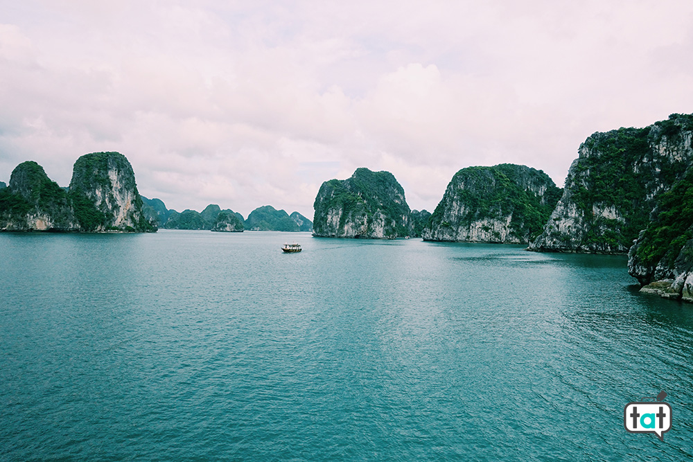 Bai tu long bay