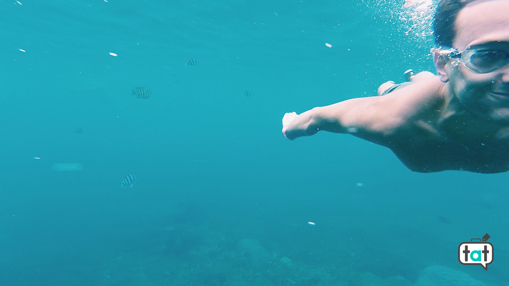 Snorkeling Koh Tao