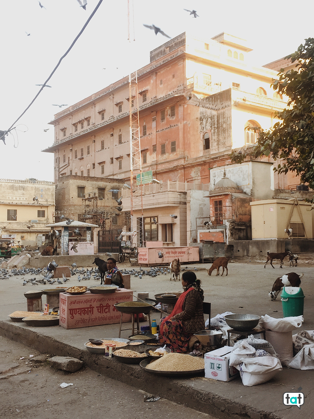 Jaipur pink city