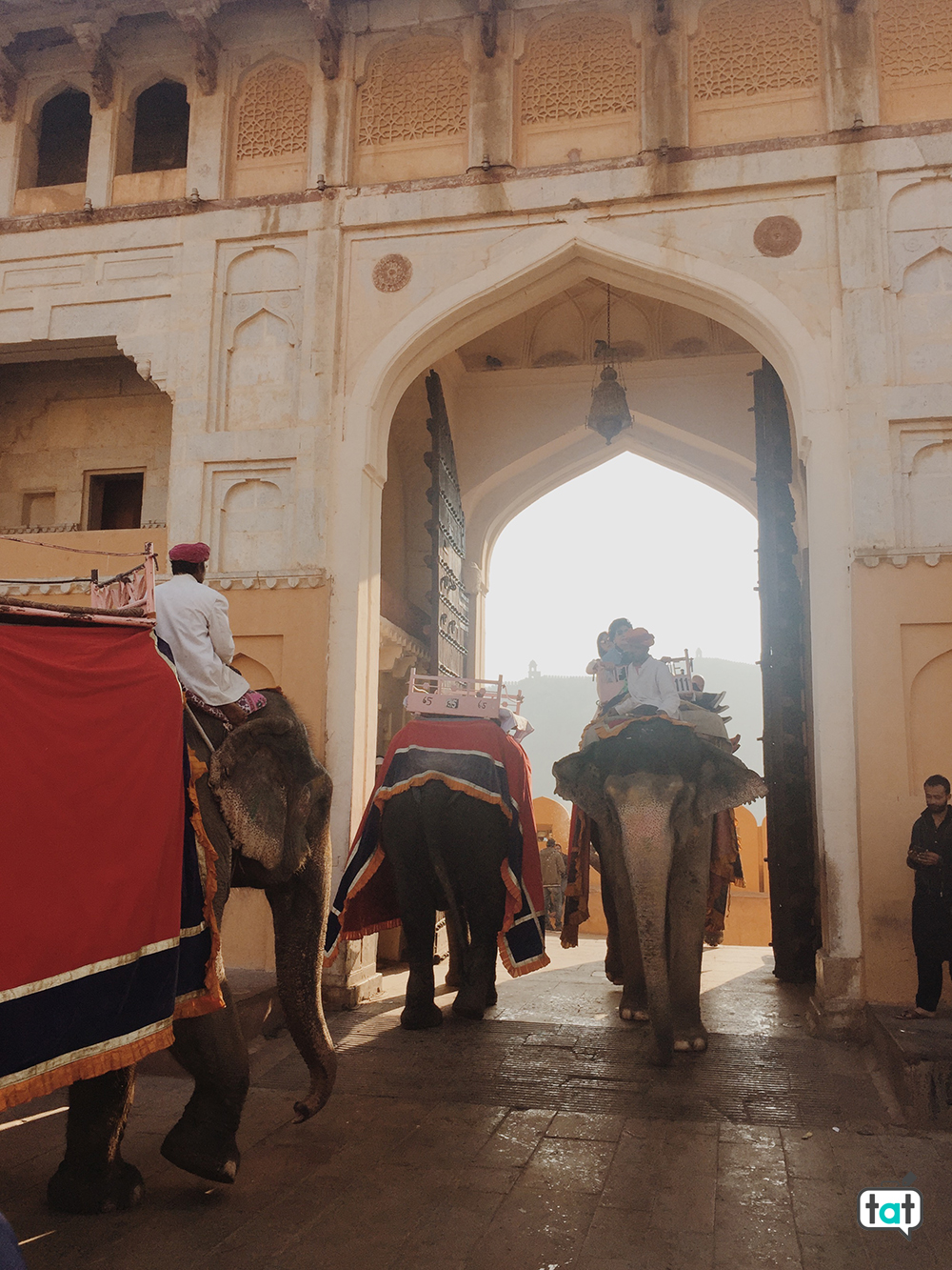 Elefanti Amber fort