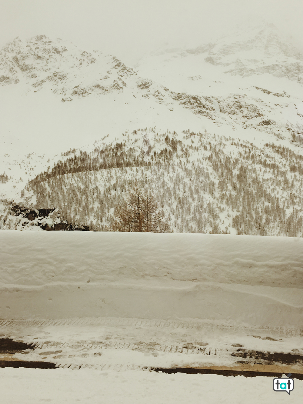 Neve a Alp Grum