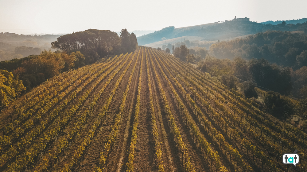 agriturismo colline senesi