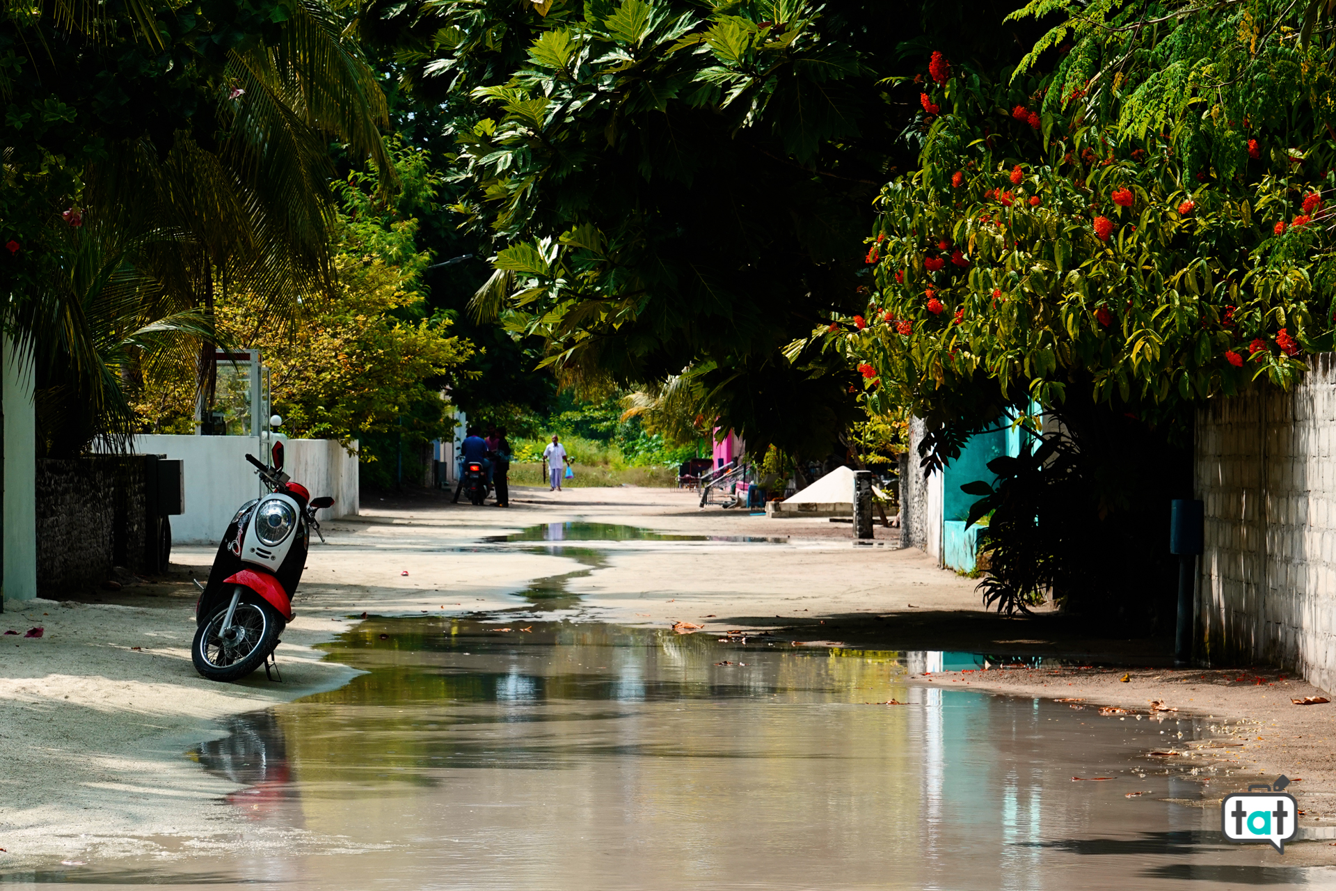 isola di Feridhoo